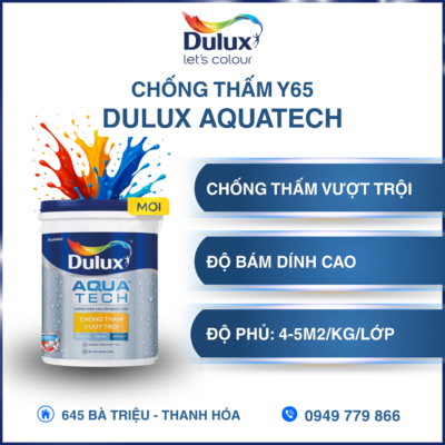 Chất Chống Thấm Dulux Aquatech Y65
